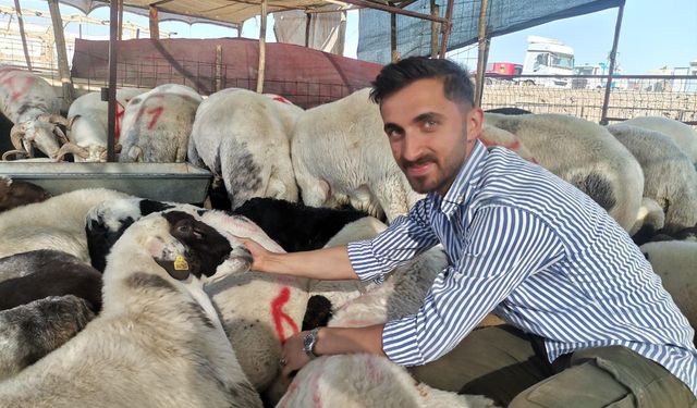 Kahramanmaraş’ta Kurbanlık Telaşı