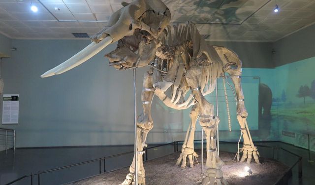 Kahramanmaraş belgeseli yayımlandı