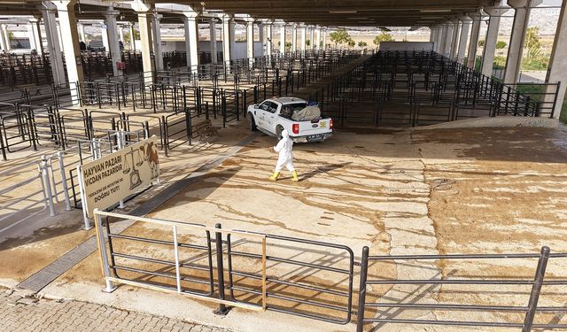 Büyükşehir’den Canlı Hayvan Pazarı’nda Halk Sağlığı İçin Kapsamlı Çalışma