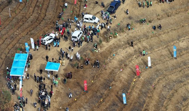 Onikişubat Belediyesi, Milli Ağaçlandırma Günü’nde yangından etkilenen alanları yeniden yeşertti