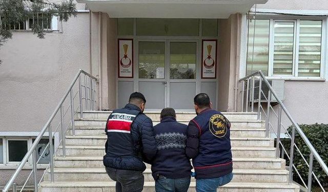 Kahramanmaraş’ta Jandarmadan Suç ve Suçlulara Darbe: 232 Gözaltı