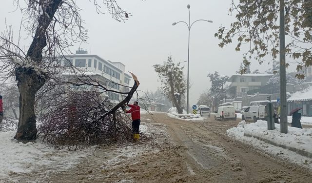 Büyükşehir Kış Mesaisini Sürdürüyor; Kırılan Dallara Anında Müdahale