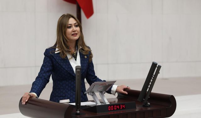 Kahramanmaraş Milletvekili Zuhal Karakoç kamu mühendislerini Meclis gündemine taşıdı