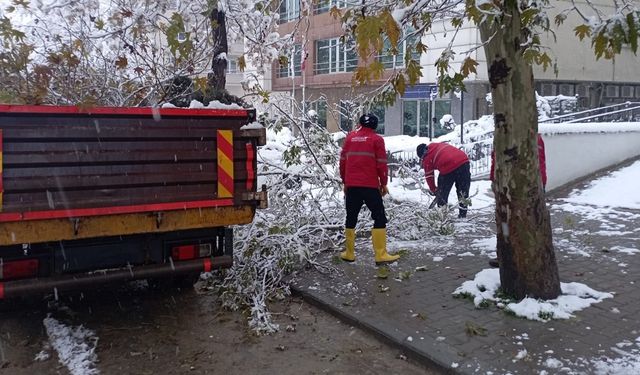 Yoğun Kar Yağışıyla Kırılan Ağaç Dallarına Hızlı Müdahale