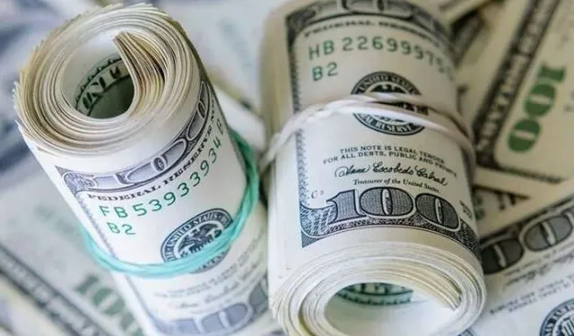 'Merkez'in rezervleri tarihi zirveye ulaştı