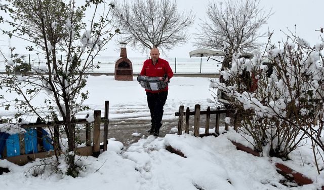 Soğuk Havada Büyükşehir’den Can Dostlara Şefkat Eli
