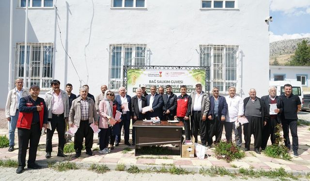 Kahramanmaraş Bertiz bölgesinde Kabarcık üzümüne dev koruma!