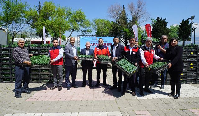 Kahramanmaraşlı üreticiye 650 bin hibe biber fidesi