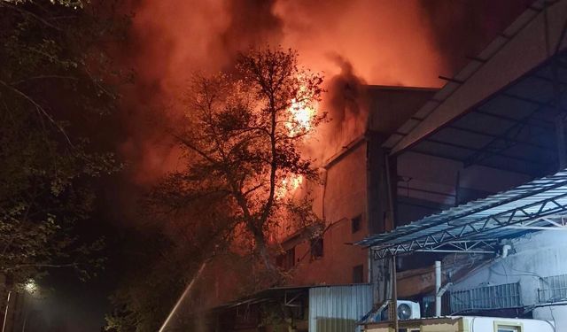 Kahramanmaraş’ta ahşap atölyesinde yangın