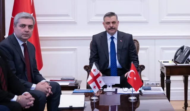 İçişleri Bakanlığı'nda Türkiye-Gürcistan temasları
