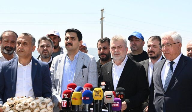 Kahramanmaraş'ta sarımsak hasadı: Coğrafi işaret tescili süreci başladı!