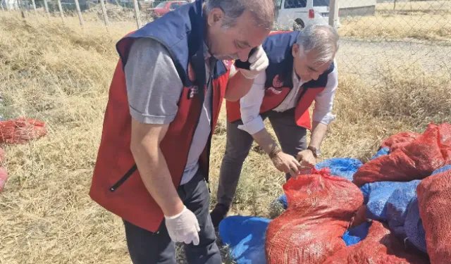 Kahramanmaraş'ta ruhsatsız mandırada tonlarca domates kurusu imha edildi