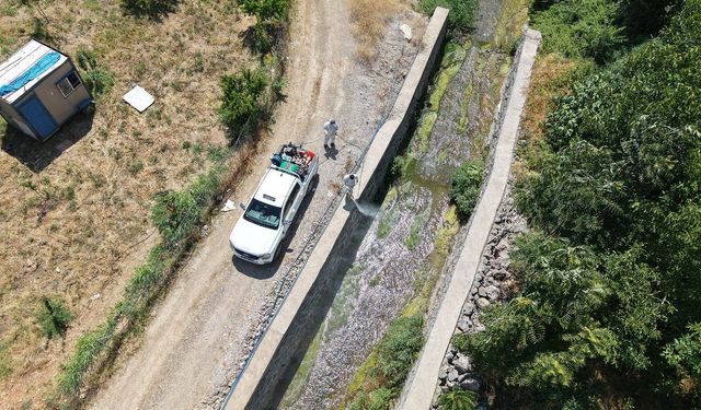 Kahramanmaraş'ta sıcak havalarda haşerelere karşı yoğun ilaçlama çalışmaları sürüyor