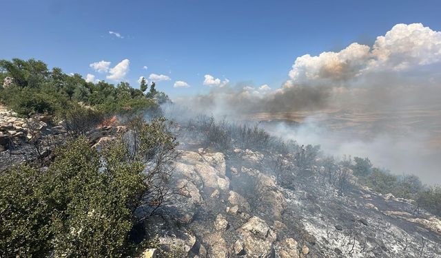 Gaziantep’te orman yangını korkuttu ekipler hızla müdahale etti