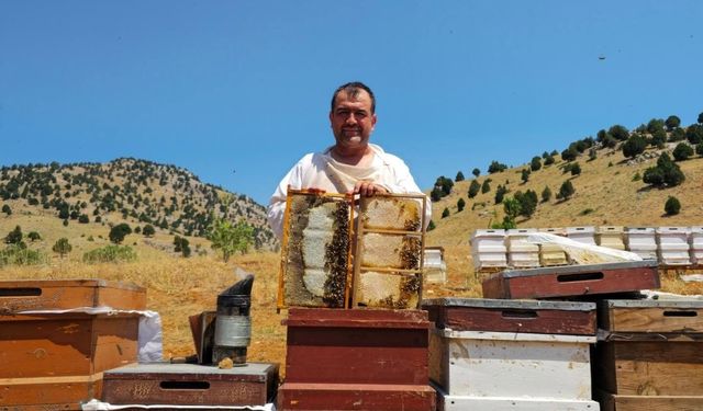 Kahramanmaraş'ta yeni sezon bal fiyatları belli oldu: Süzme ve petek bal 1.250 TL