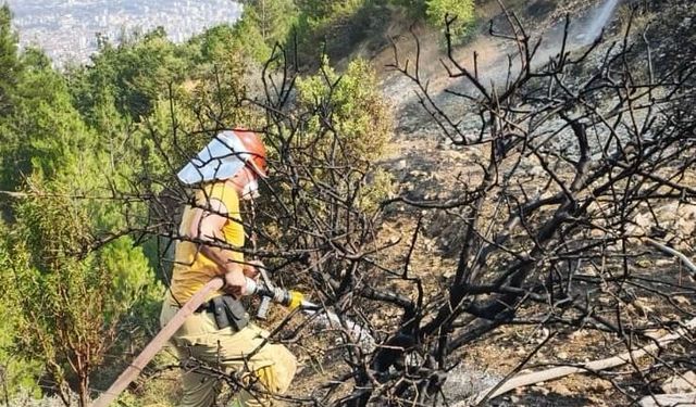 Kahramanmaraş Ahırdağ'daki orman yangını kontrol altına alındı