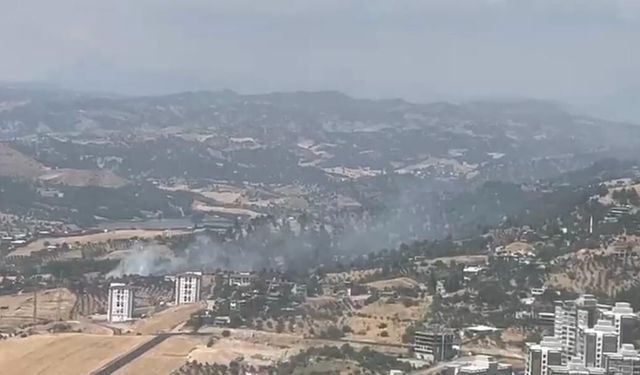 Kahramanmaraş'ta orman yangını çıktı