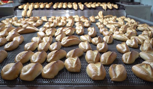 Büyükşehir Halk Ekmek’ten Doğal Üretime Yenilikçi Adım