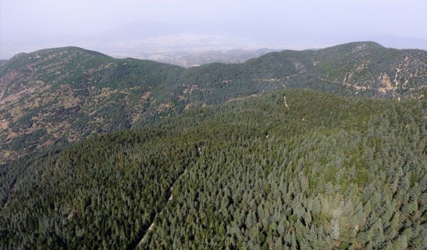 Kahramanmaraş’ın yaylası doğasıyla göz kamaştırıyor