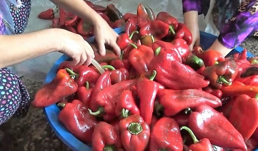 Kahramanmaraş’ta salça telaşı