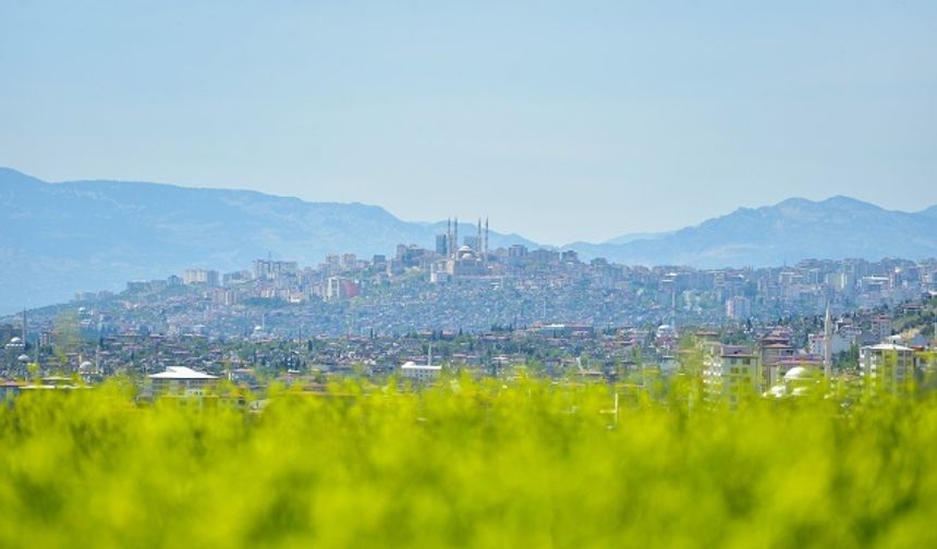 Kahramanmaraş'ta baharın gelmesiyle renk cümbüşü oluştu