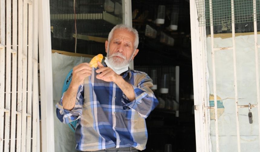 Kahramanmaraş’ta kuş sevgisi tutkusu oldu