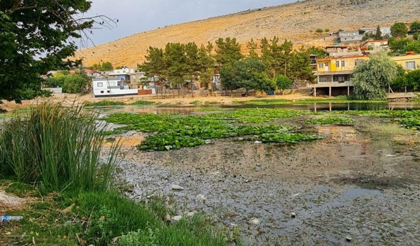 Pazarcık’taki doğa harikası göl yok olma tehlikesiyle kaşı karşıya