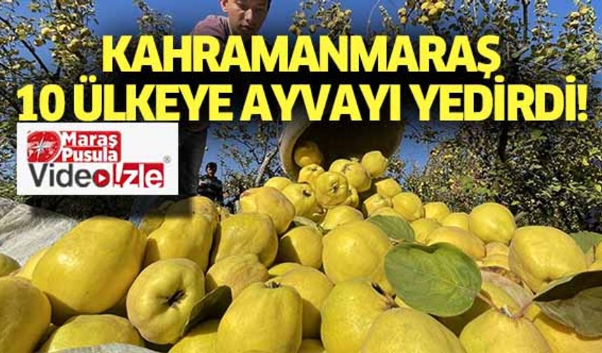 Kahramanmaraş 10 ülkeye ayvayı yedirdi!