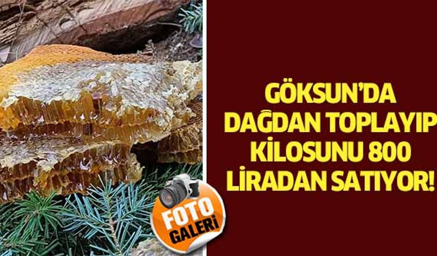 Göksun’da dağdan toplayıp kilosunu 800 liradan satıyor!