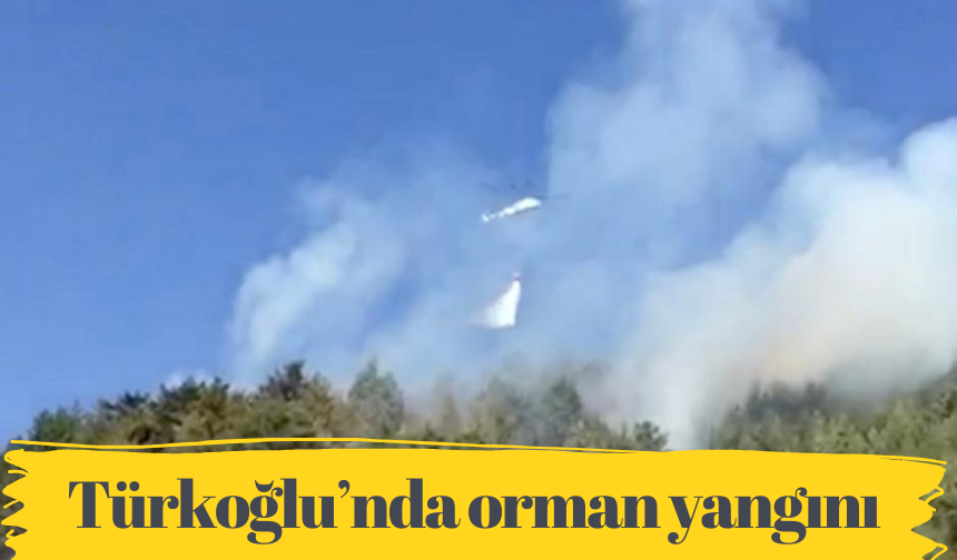 Türkoğlu’nda orman yangını 
