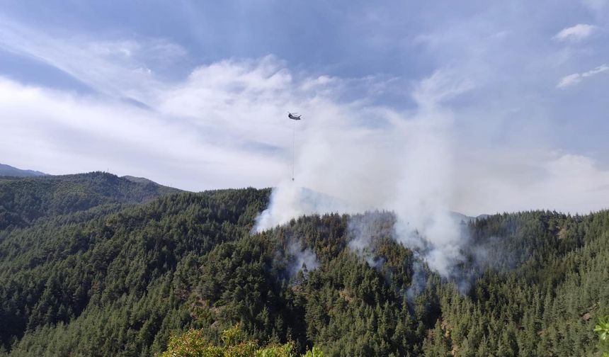 Kahramanmaraş Andırın’da Orman Yangını