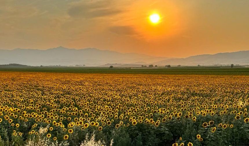Kahramanmaraş'ta manzara hayran bıraktı