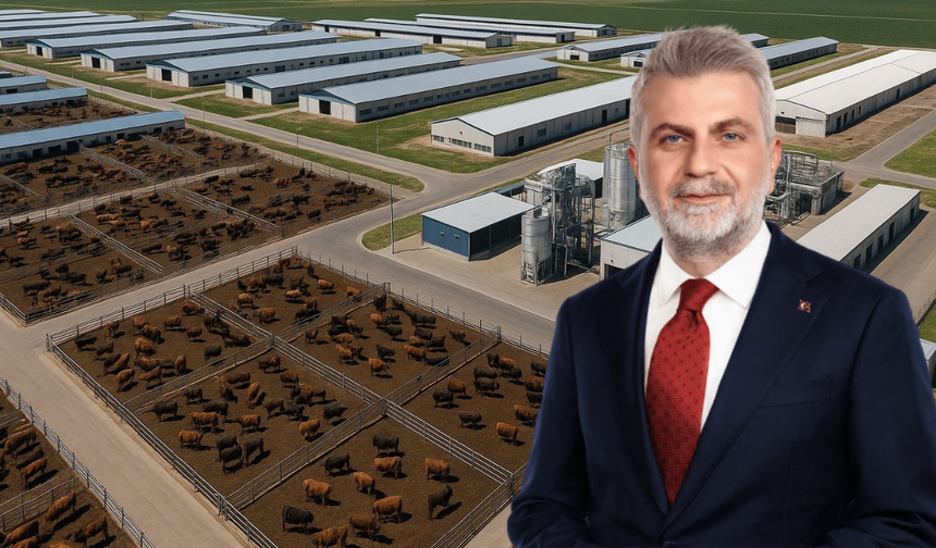 Elbistan Besi OSB’nin İmar Planı Onaylandı