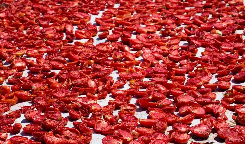 Şifa deposu kuru domates ihracatta dünya ikincisi