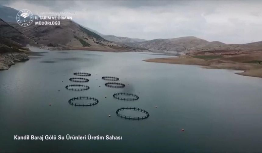 Kahramanmaraş, balıkçılık alanında 17 bin tonluk rekor kırdı