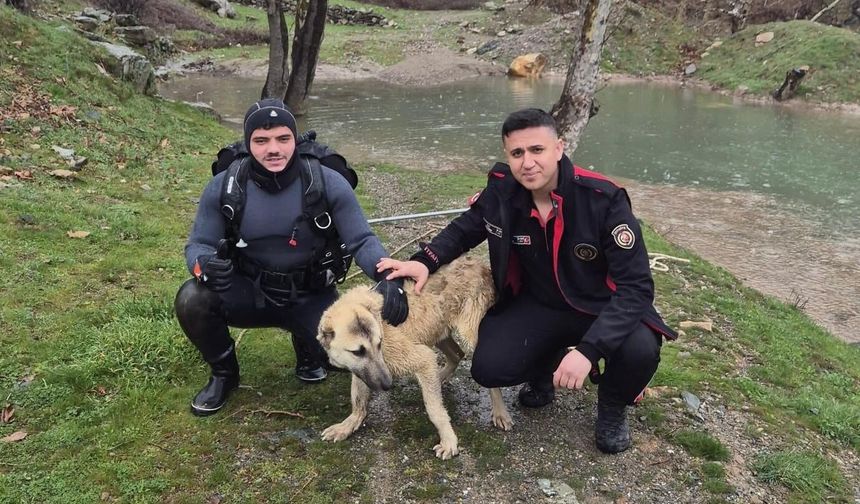 Kucağında taşıdı! Kahramanmaraşlı itfaiyeciden alkışlanacak kurtarma operasyonu