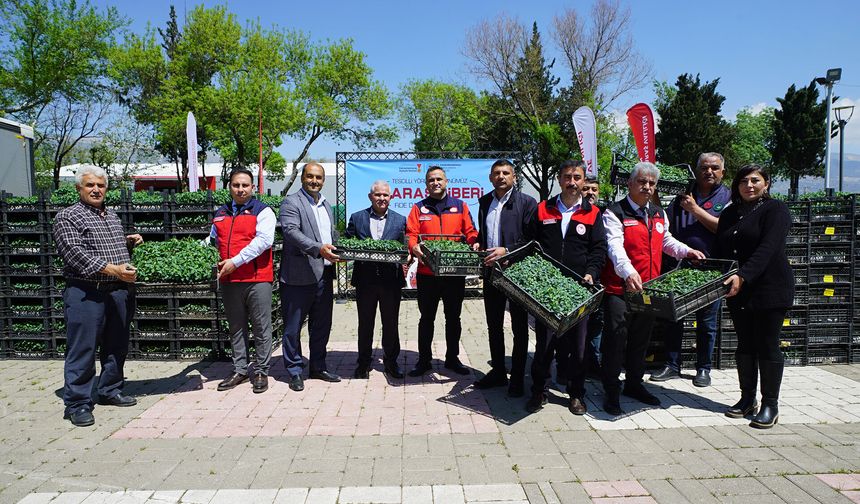 Kahramanmaraşlı üreticiye 650 bin hibe biber fidesi