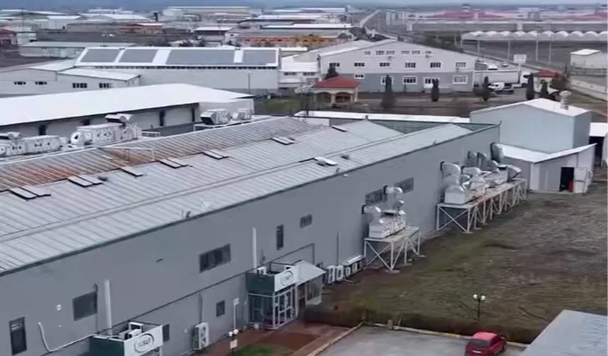 Süt üretimi Türkiye'nin sofralarında... 2025'te 11 milyon litre süt işlendi