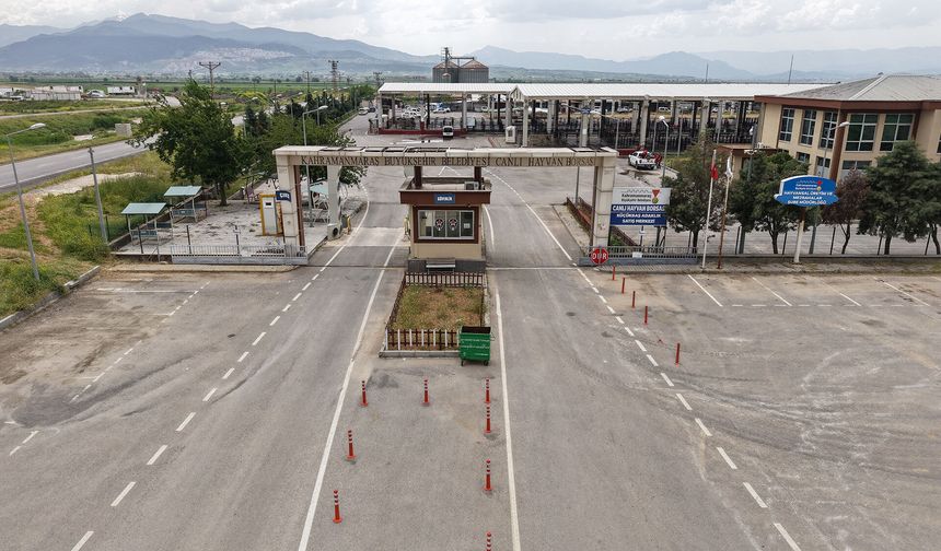 Canlı hayvan borsası Kurban Bayramı’na hazır; kurbanlık satışları başlıyor