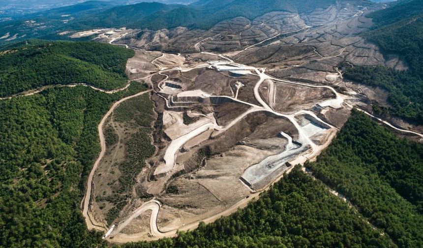TEMA Vakfı: İklim Krizine Karşı Kaybedecek Zamanımız Kalmadı
