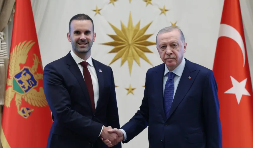 Erdoğan, Karadağ Başbakanı Spajiç'i kabul etti... Türkiye-Karadağ ilişkileri ele alındı