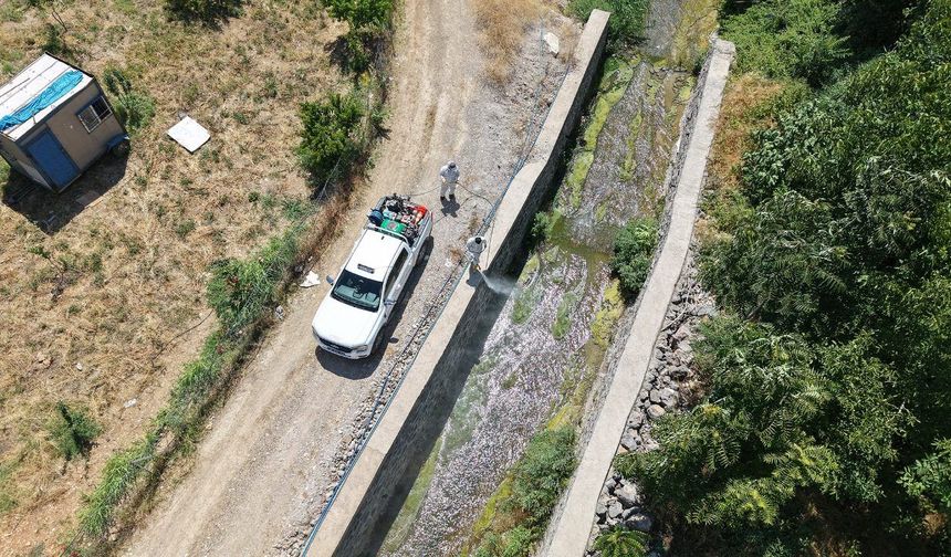 Kahramanmaraş'ta sıcak havalarda haşerelere karşı yoğun ilaçlama çalışmaları sürüyor