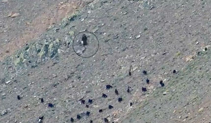 Kahramanmaraş’ta dağda mahsur kalan kadın bulundu