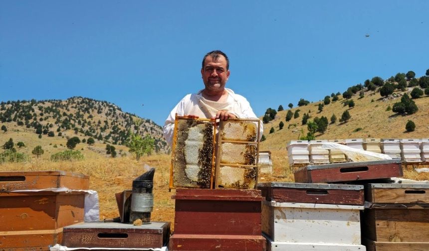 Kahramanmaraş'ta yeni sezon bal fiyatları belli oldu: Süzme ve petek bal 1.250 TL