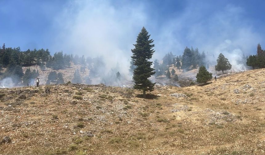 Kahramanmaraş'ta iki orman yangını söndürüldü