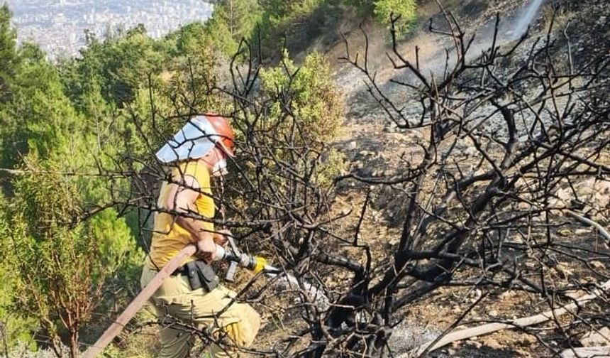 Kahramanmaraş Ahırdağ'daki orman yangını kontrol altına alındı