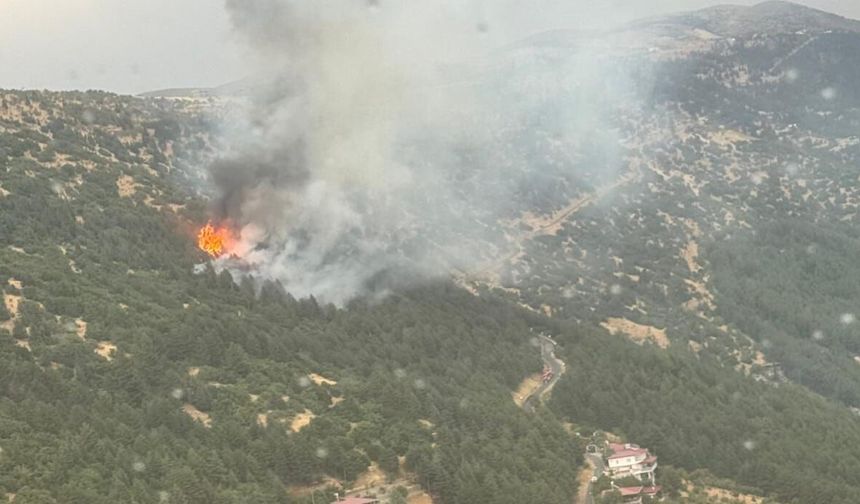 Kahramanmaraş’ta peş peşe çıkan 11 orman ve ziraat yangını korkuttu