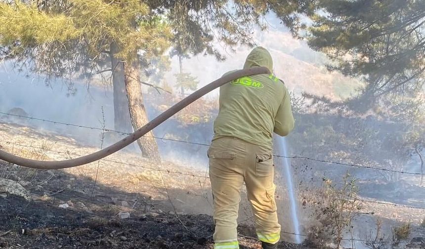 Kahramanmaraş’ta orman yangınına yoğun müdahale
