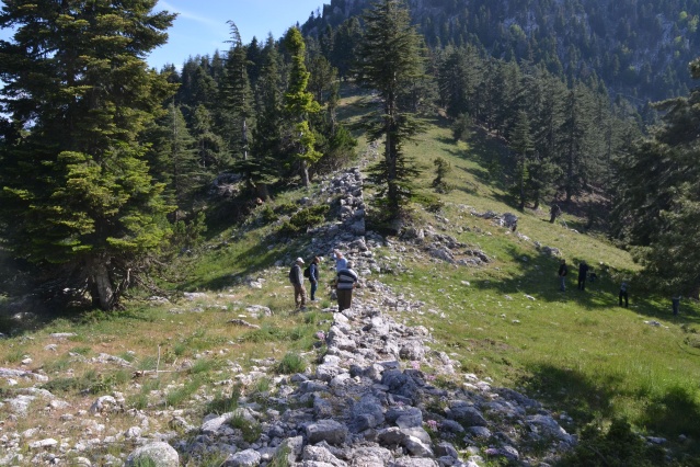 Andırın’da tesadüfen bulundu, değer tespiti için çalışma başlatıldı