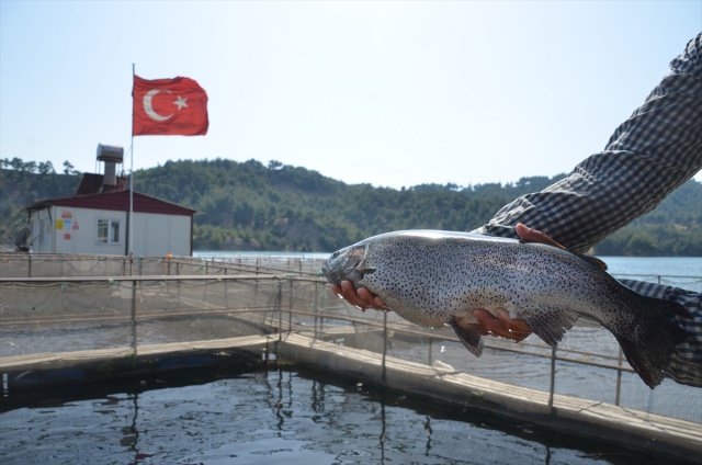 Kahramanmaraş’ta son 10 yılda muhabirlerce en çok bu konu haber yapıldı